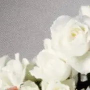 ぽの画像