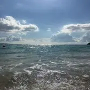 はなまるの画像