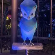 さくらんぼの画像