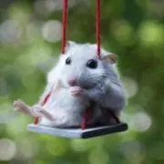 なっちゃん