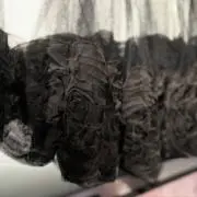 Lionの画像