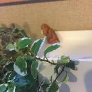KUuの画像
