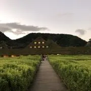 りっぺの画像