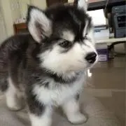 mの画像