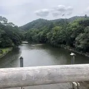 きゅうの画像