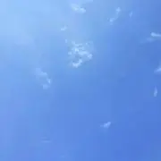 Wの画像
