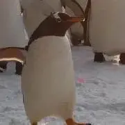 zakuの画像