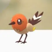 みかん