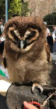 たろう