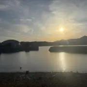 ふじの画像