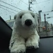MIYAの画像