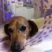 ユズくう。