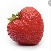 15の画像