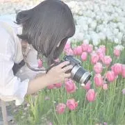 ななの画像