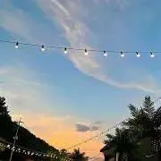 ウィン⭐︎