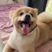 みなみ