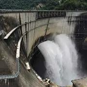 ratekoの画像