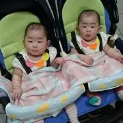 まるちゃん