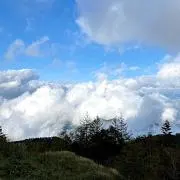りょの画像