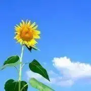 ☆na7na7☆