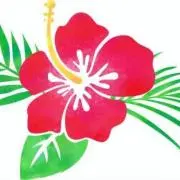 locoの画像