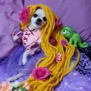 れれぽぽ