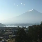 コロ助