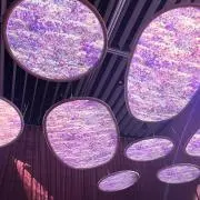 ccの画像