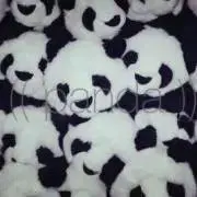 ぱん〜だの画像