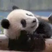 ななりん〜プロフ必読〜の画像