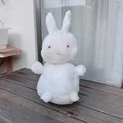ぽこの画像