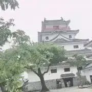 ぽっちゃまの画像