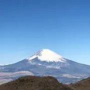 ysk2020の画像