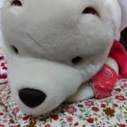 れいちゃんの画像