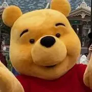 くまの画像