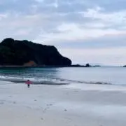 hanaの画像