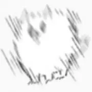 毛玉犬JAPANの画像
