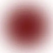 ねこの画像