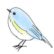 青い鳥の画像