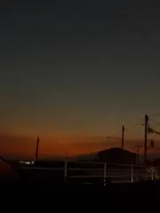 排球馬っ鹿