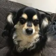 ななぽるの画像