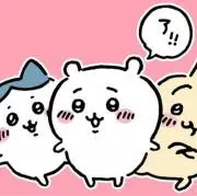 Momoの画像
