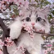 ミュ^_^の画像