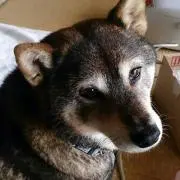 ゆき  *プロフ必読*