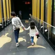 ちぃたんたんの画像