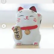 チロルです６月22日発送の画像