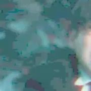 佐藤