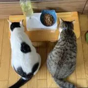 たみち
