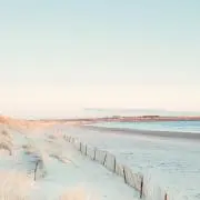 きりの画像