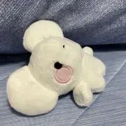 イッカちゃんの画像